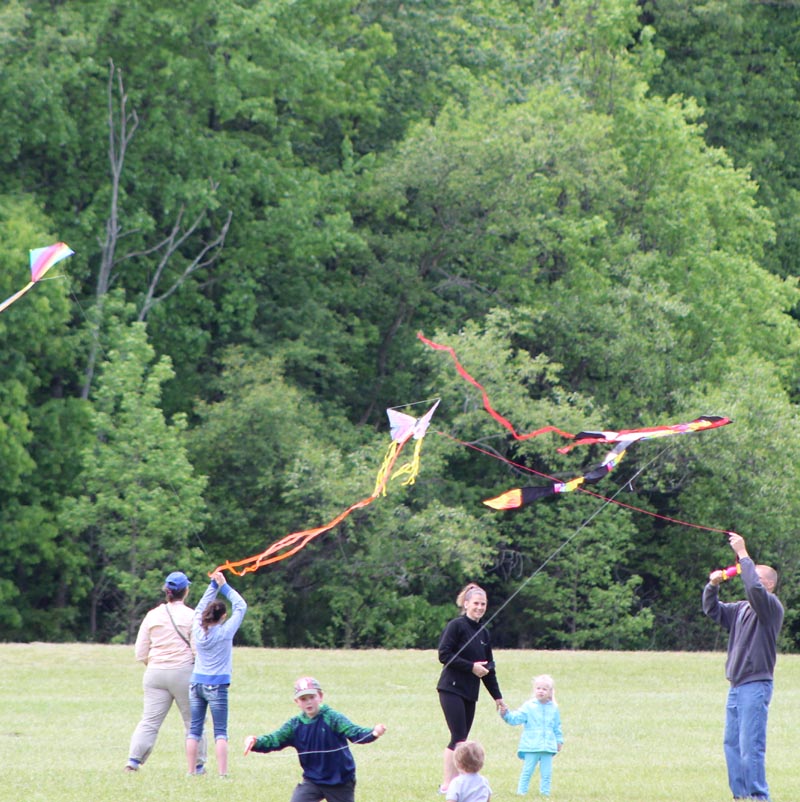 Let's go fly a kite!